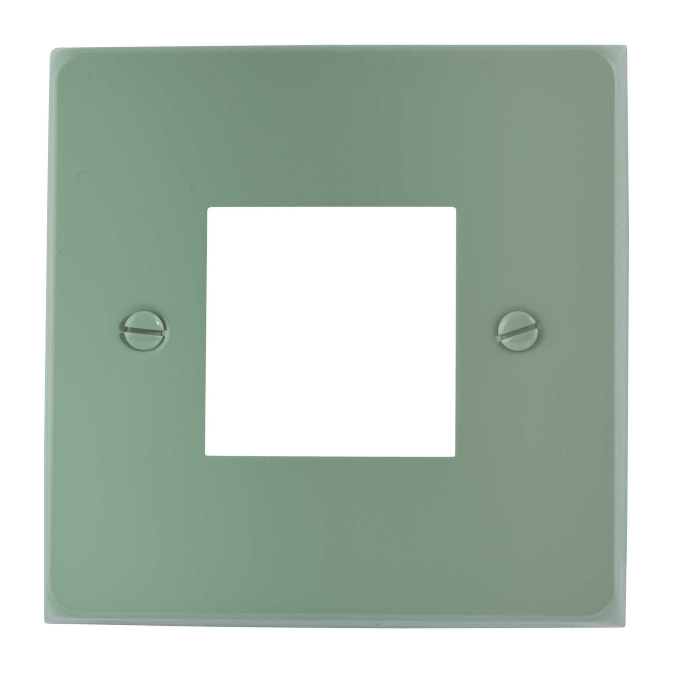 ElekTek Light Switch Conversion Cover Plate Double Victorian - Buy It Better