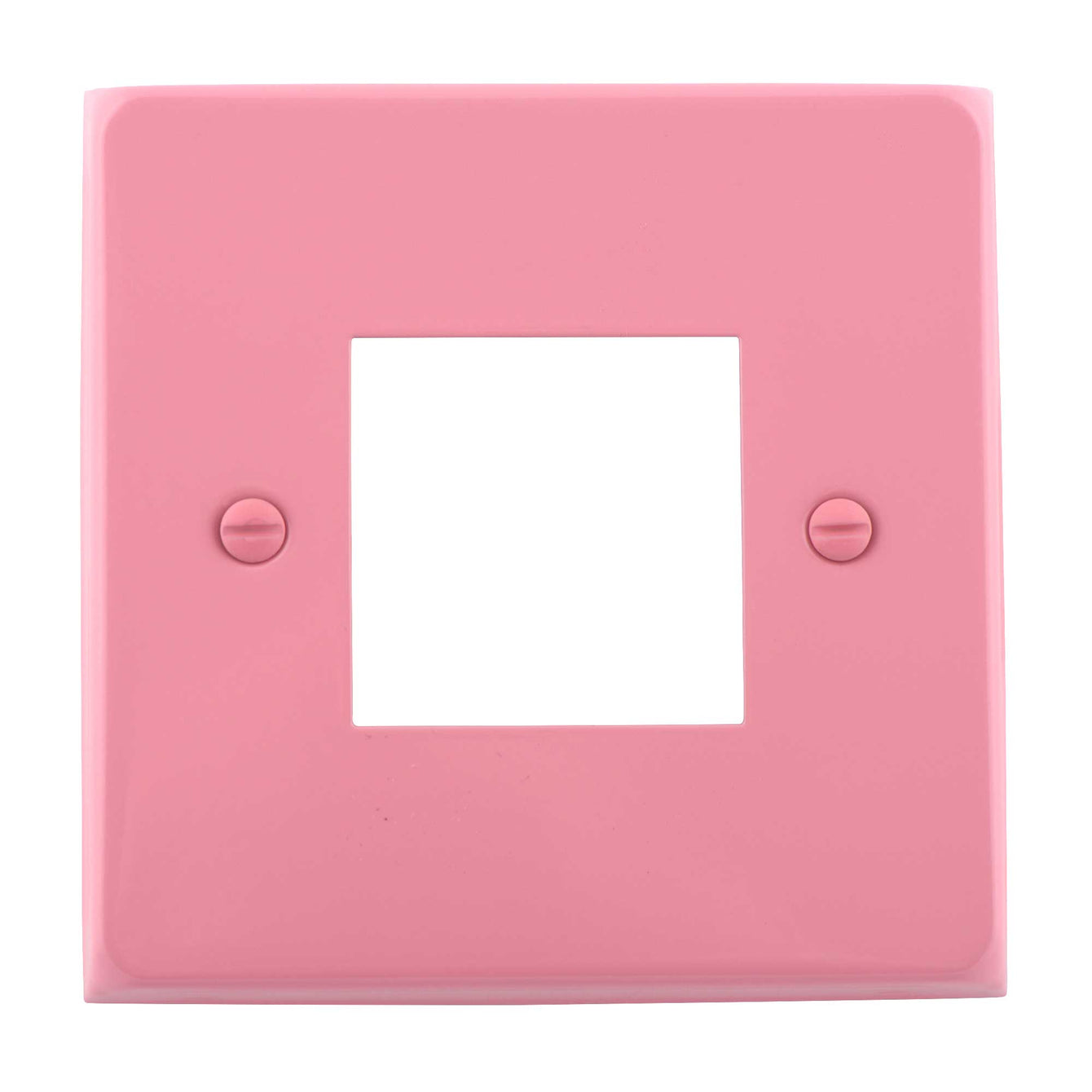 ElekTek Light Switch Conversion Cover Plate Double Victorian - Buy It Better